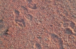 babuba-025