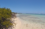 barbuda-005