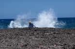 barbuda2-018