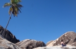 bvi-146