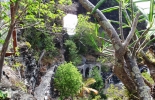 moon-hole-bequia-055_jpg