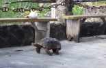moon-hole-bequia-085_jpg
