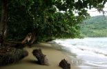 tobago-anse-bateau-kings-bay-016