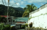 tobago-charlotteville-022