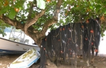 tobago-charlotteville-037