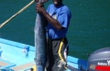 x-tobago-charlotteville-004