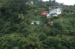 x-tobago-charlotteville-047