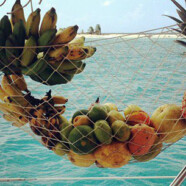 Salade de fruits jolie jolie
